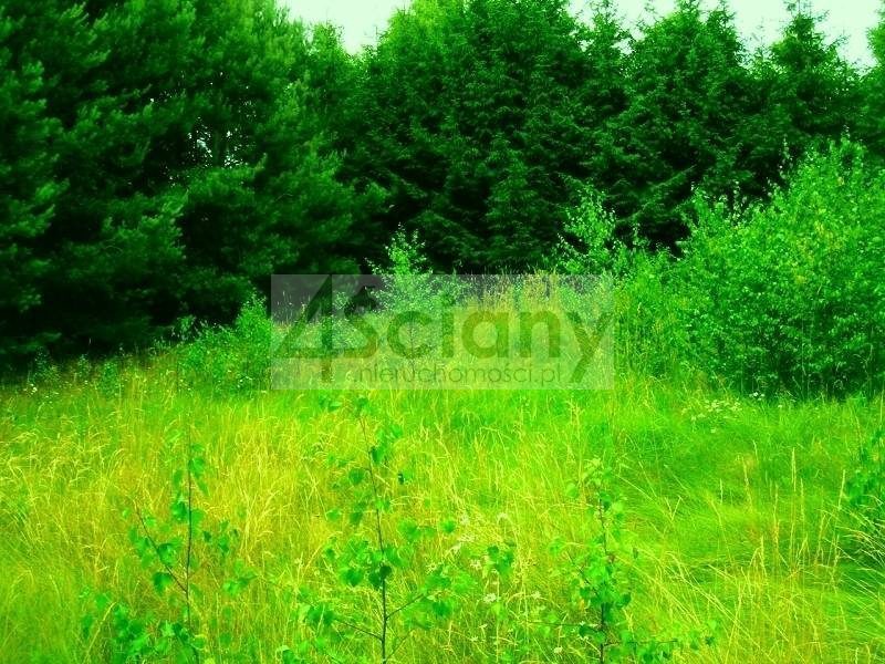 Działka budowlana 1100 m², Łępice - zdjęcie 4