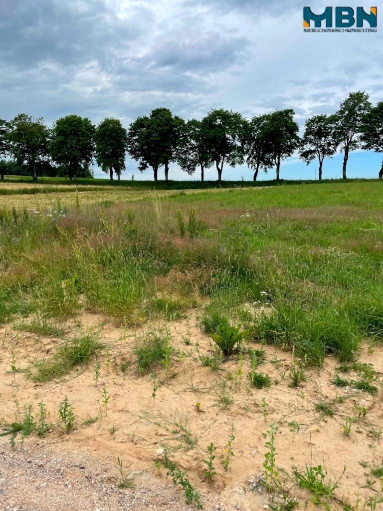 Działka inwestycyjna 3854&nbsp;m², Pozezdrze - zdjęcie 9