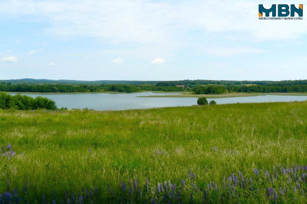 Działka inwestycyjna 3854&nbsp;m², Pozezdrze - zdjęcie 6