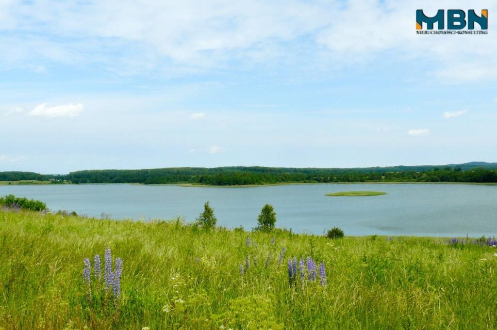 Działka inwestycyjna 3854&nbsp;m², Pozezdrze - zdjęcie 8