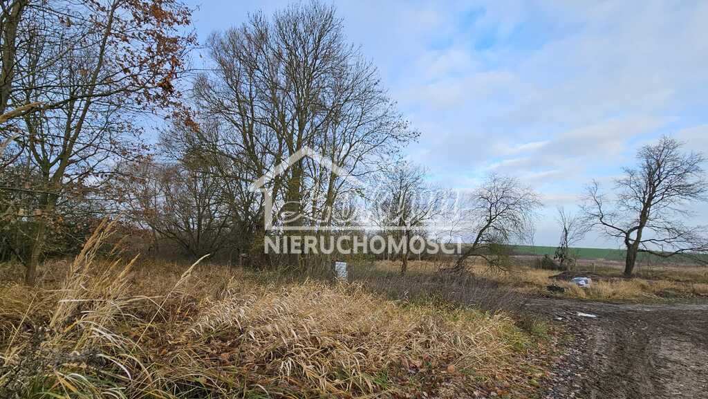Działka budowlana 1002 m², Siadło Dolne - zdjęcie 1