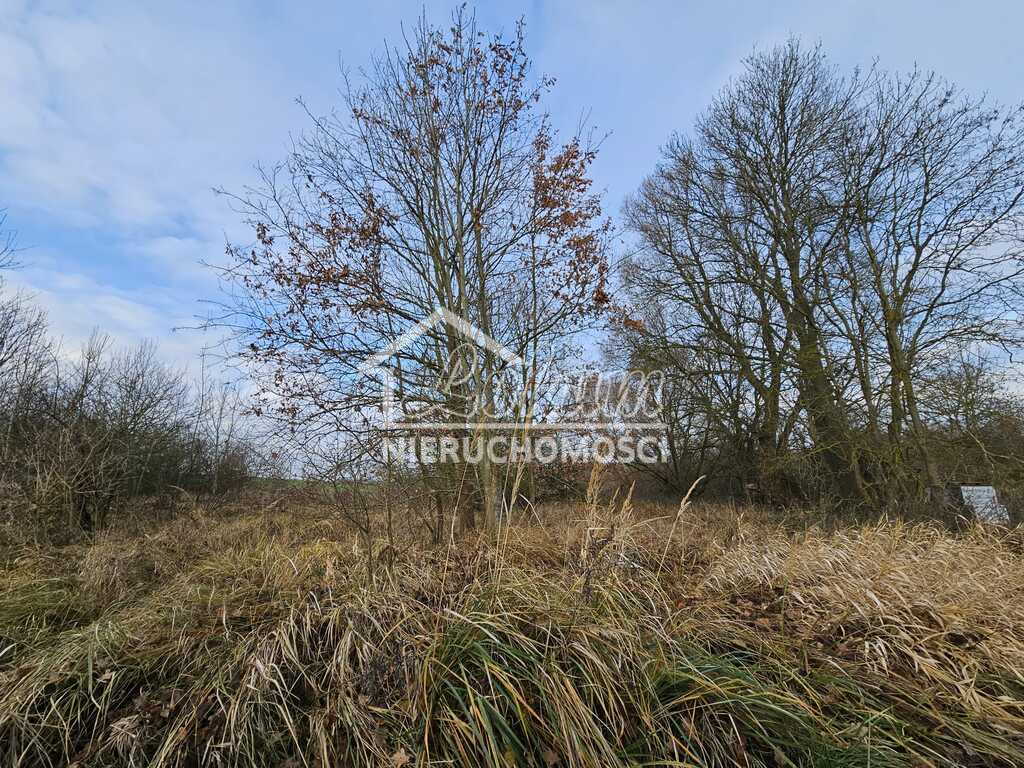 Działka budowlana 1002 m², Siadło Dolne - zdjęcie 3