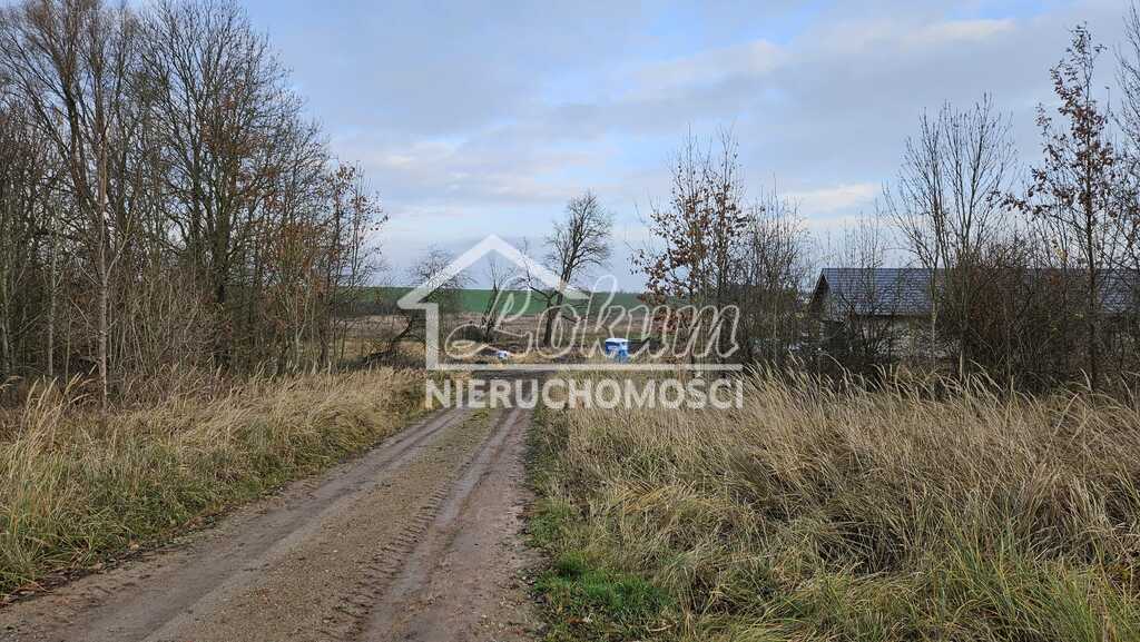 Działka budowlana 1002&nbsp;m², Siadło Dolne - zdjęcie 5