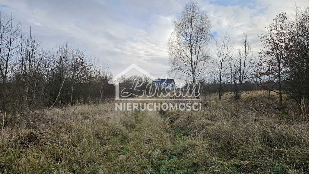 Działka budowlana 1002&nbsp;m², Siadło Dolne - zdjęcie 2