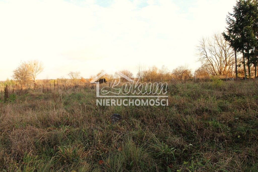 Działka budowlana 1169&nbsp;m², Szadzko - zdjęcie 2