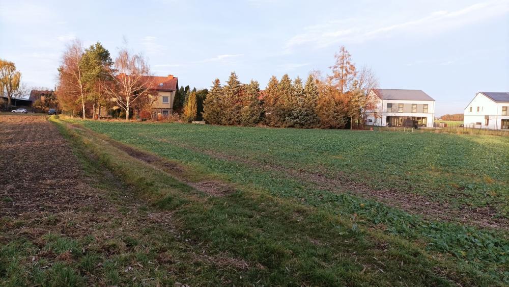 Działka budowlana 6819&nbsp;m², Batorowo, Stefana Batorego - zdjęcie 4