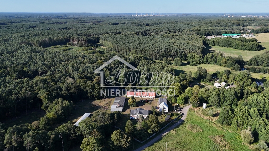 Lokal usługowy na sprzedaż, 1240&nbsp;m², Sierakowo - zdjęcie 5