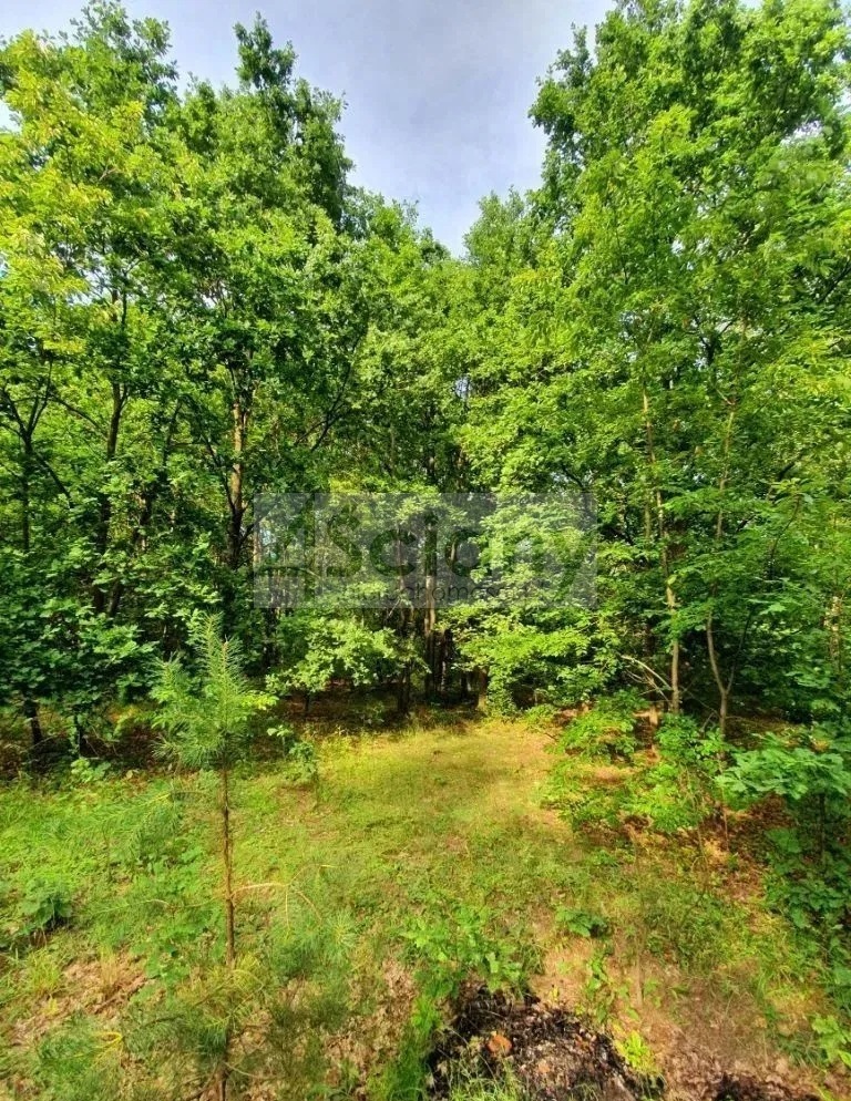 Działka budowlana 1100 m², Żółwin - zdjęcie 2