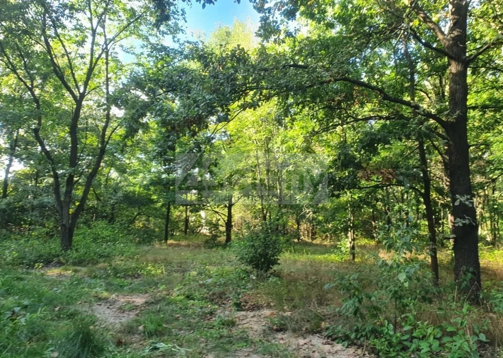 Działka budowlana 1100 m², Żółwin - zdjęcie 1