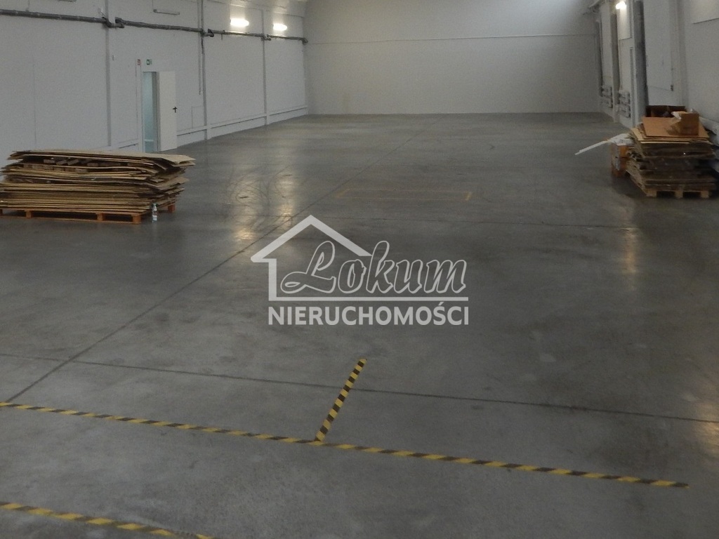 Magazyn do wynajęcia, 562&nbsp;m², Szczecin - zdjęcie 1