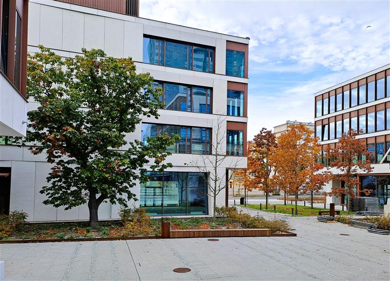 Lokal usługowy do wynajęcia, 621&nbsp;m², Gdynia, Waszyngtona - zdjęcie 3