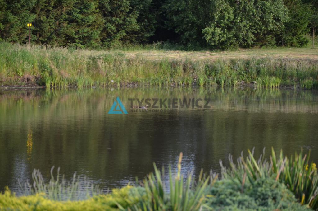 Siedlisko z 3 stawami Wielki Klincz - Unikat - zdjęcie 18