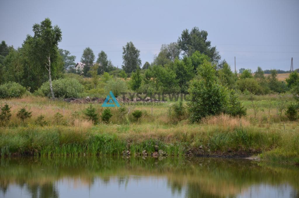 Siedlisko z 3 stawami Wielki Klincz - Unikat - zdjęcie 17
