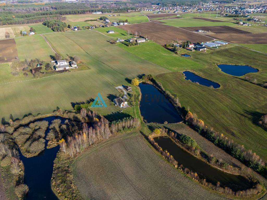 Siedlisko z 3 stawami Wielki Klincz - Unikat - zdjęcie 3