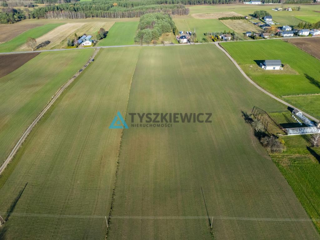 Siedlisko z 3 stawami Wielki Klincz - Unikat - zdjęcie 22