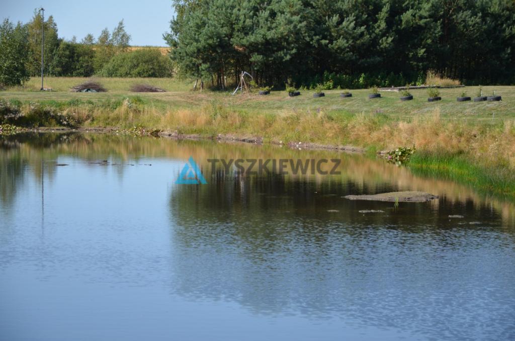 Siedlisko z 3 stawami Wielki Klincz - Unikat - zdjęcie 19