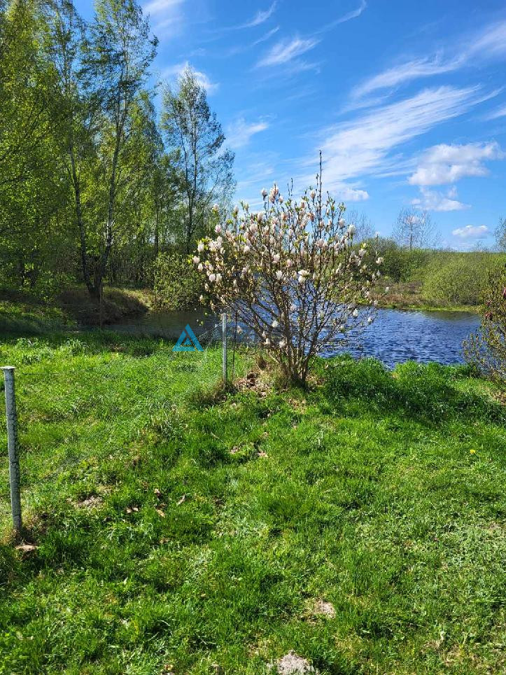 Siedlisko z 3 stawami Wielki Klincz - Unikat - zdjęcie 12