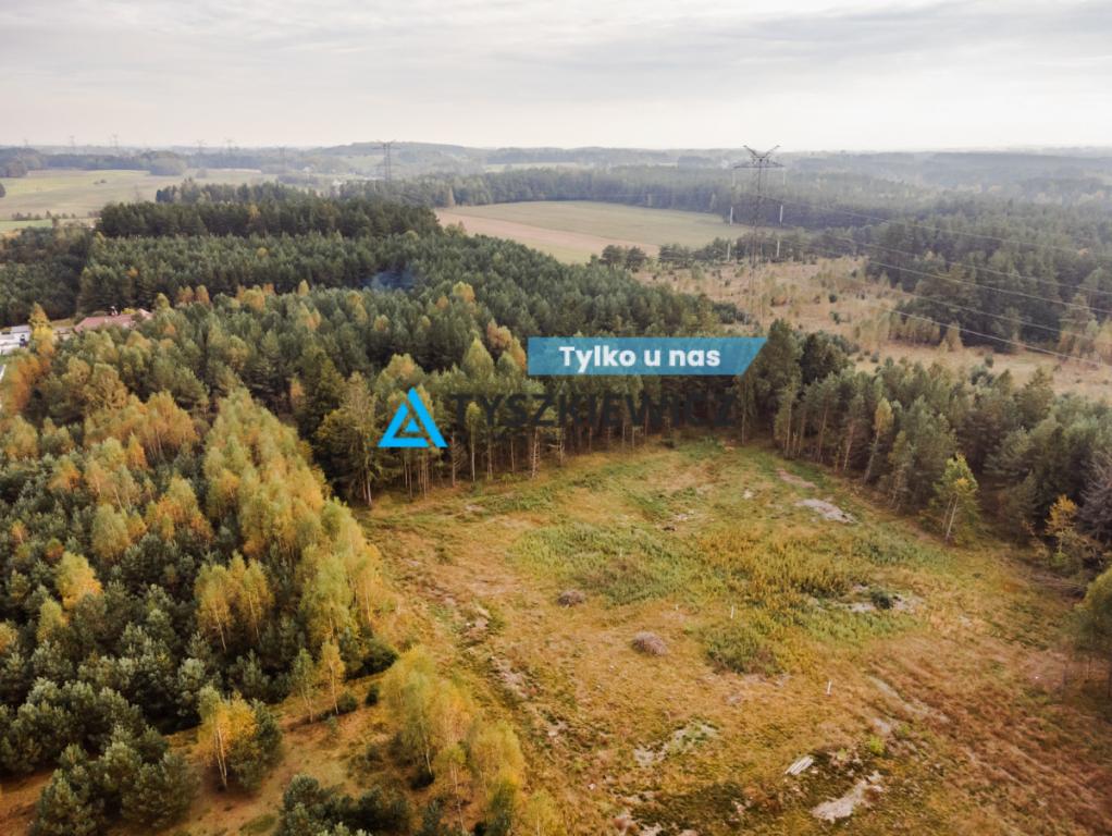 Działka budowlana w Kowalewie pod lasem - zdjęcie 1