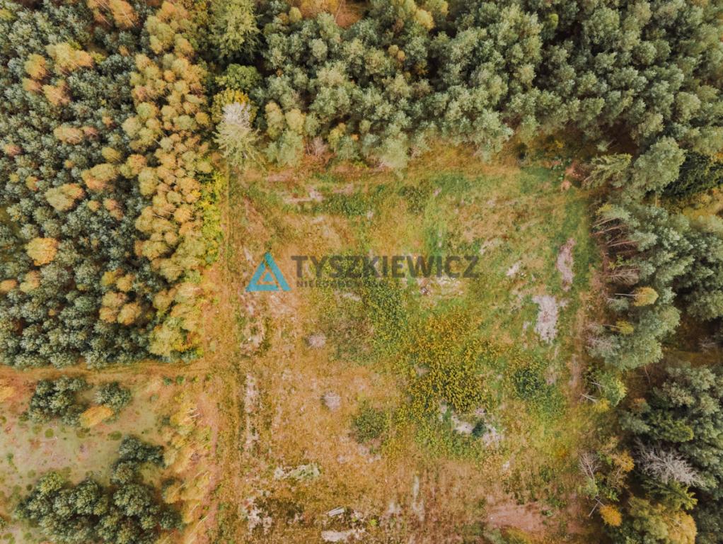 Działka budowlana w Kowalewie pod lasem - zdjęcie 4