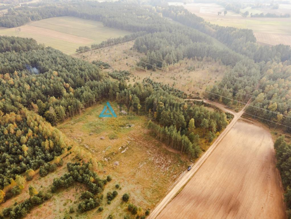 Działka budowlana w Kowalewie pod lasem - zdjęcie 6