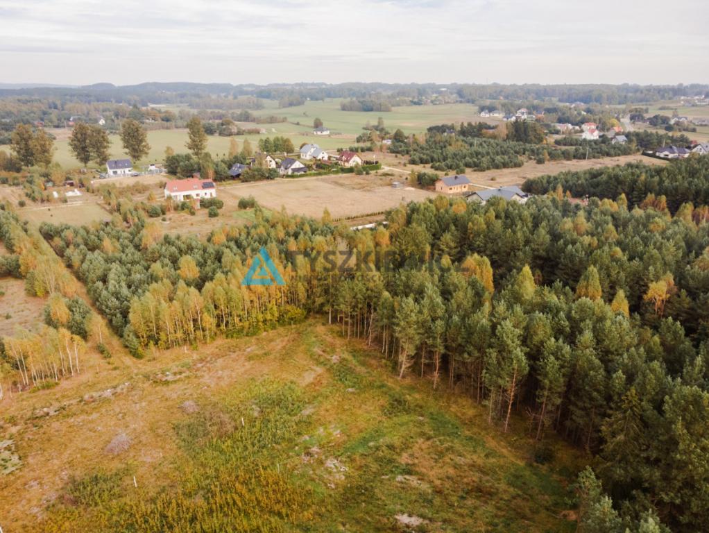 Działka budowlana w Kowalewie pod lasem - zdjęcie 2