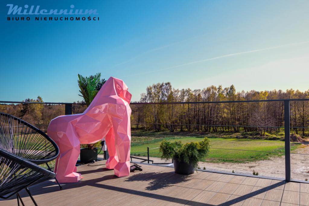 Połówka bliźniaka w świetnej cenie! - zdjęcie 16