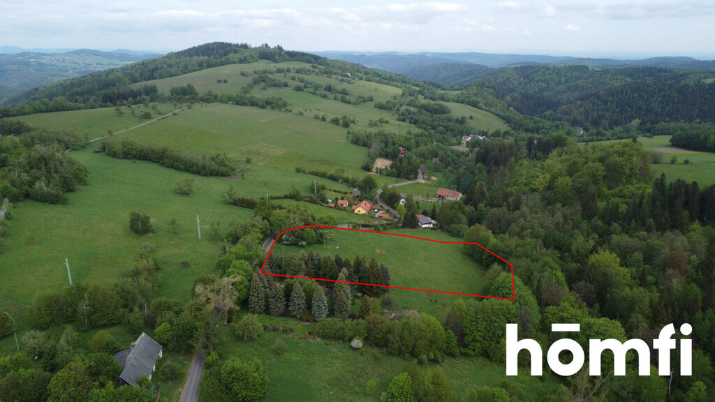 Działka budowlana 1,37 ha, Walim - zdjęcie 7