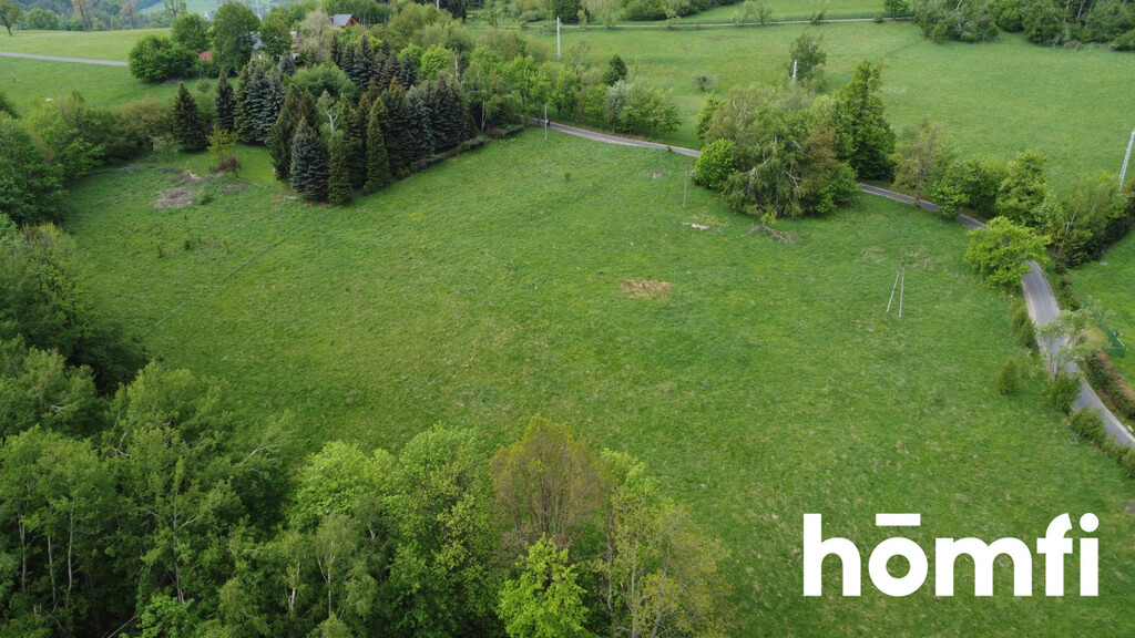Działka budowlana 1,37 ha, Walim - zdjęcie 3