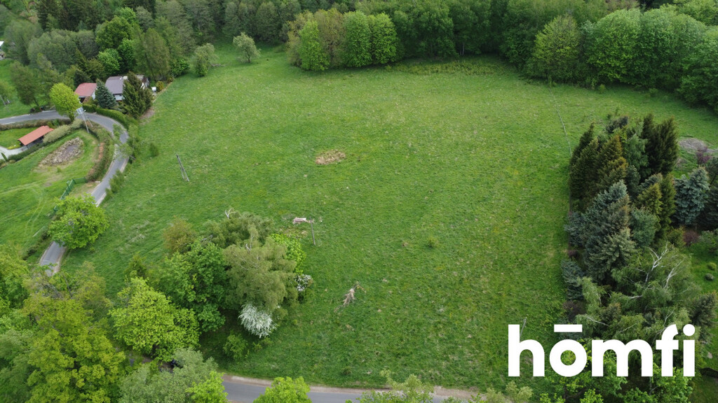 Działka budowlana 1,37 ha, Walim - zdjęcie 2