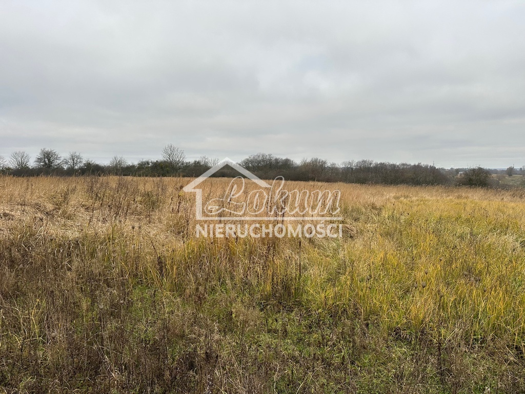 Działka rolna 800&nbsp;m², Szczecin - zdjęcie 8