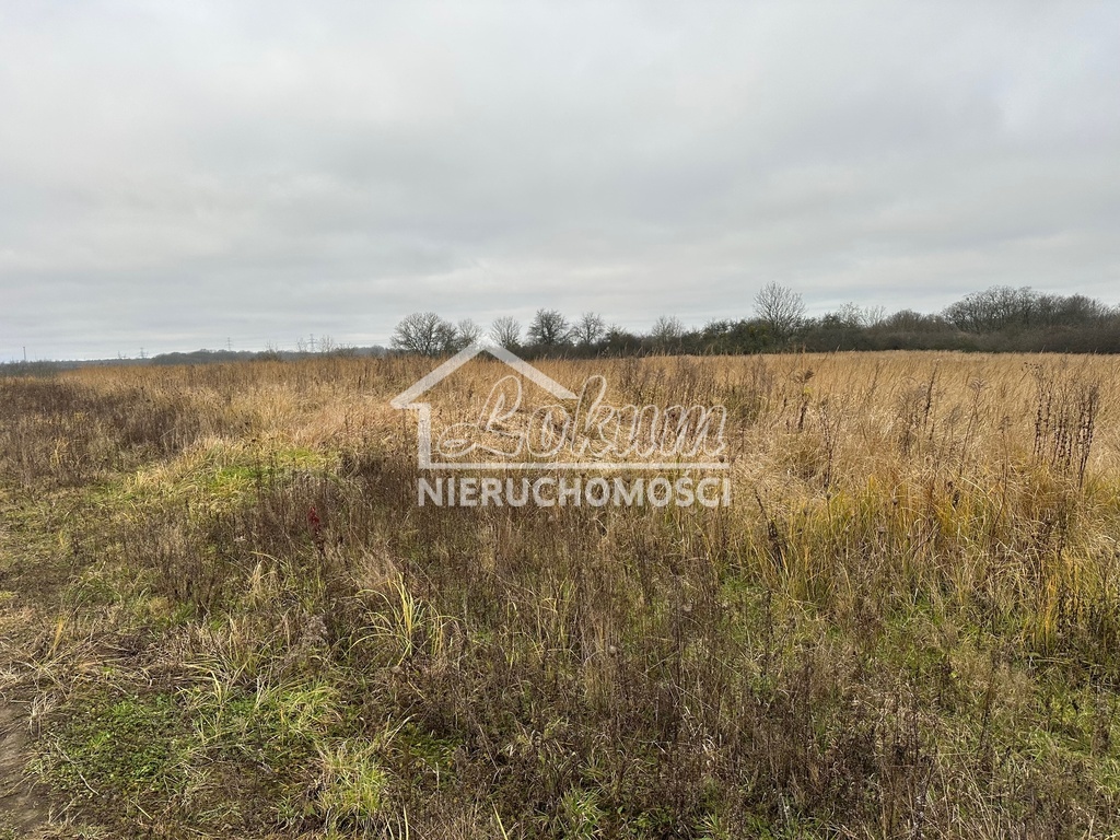 Działka rolna 800&nbsp;m², Szczecin - zdjęcie 7