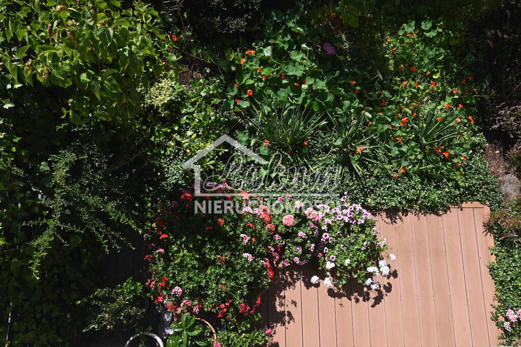 Dom 123,88&nbsp;m², Mierzyn - zdjęcie 6