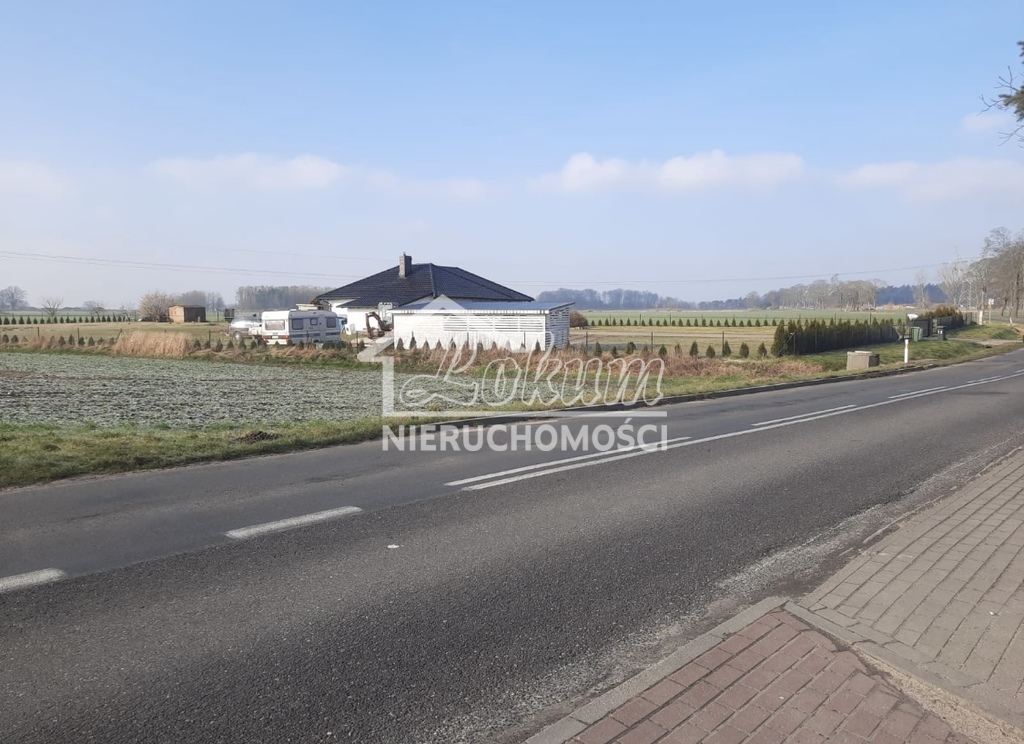Działka rolna 600&nbsp;m², Pogrzymie - zdjęcie 3