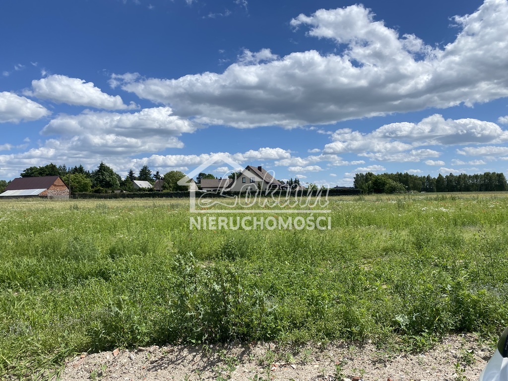 Działka rolna 687&nbsp;m², Pogrzymie - zdjęcie 2