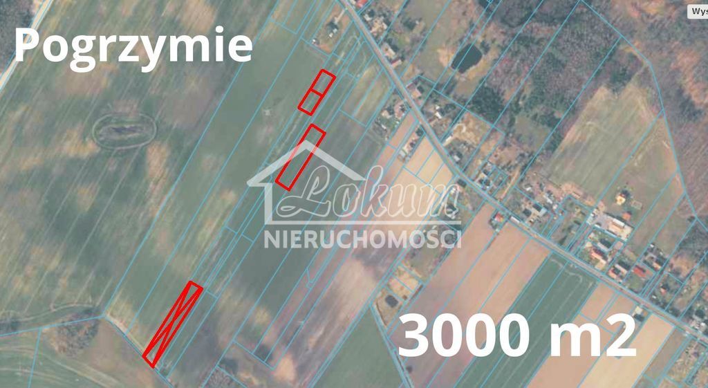 Działka rolna 600&nbsp;m², Pogrzymie - zdjęcie 4