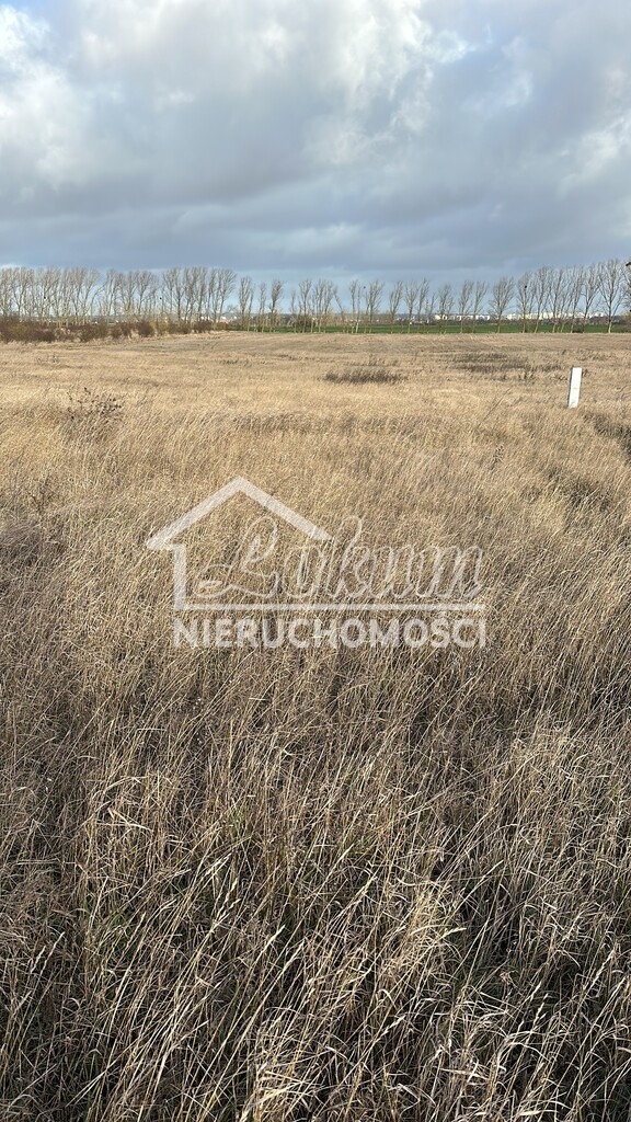 Działka budowlana 1027&nbsp;m², Warzymice, Rubinowa - zdjęcie 7