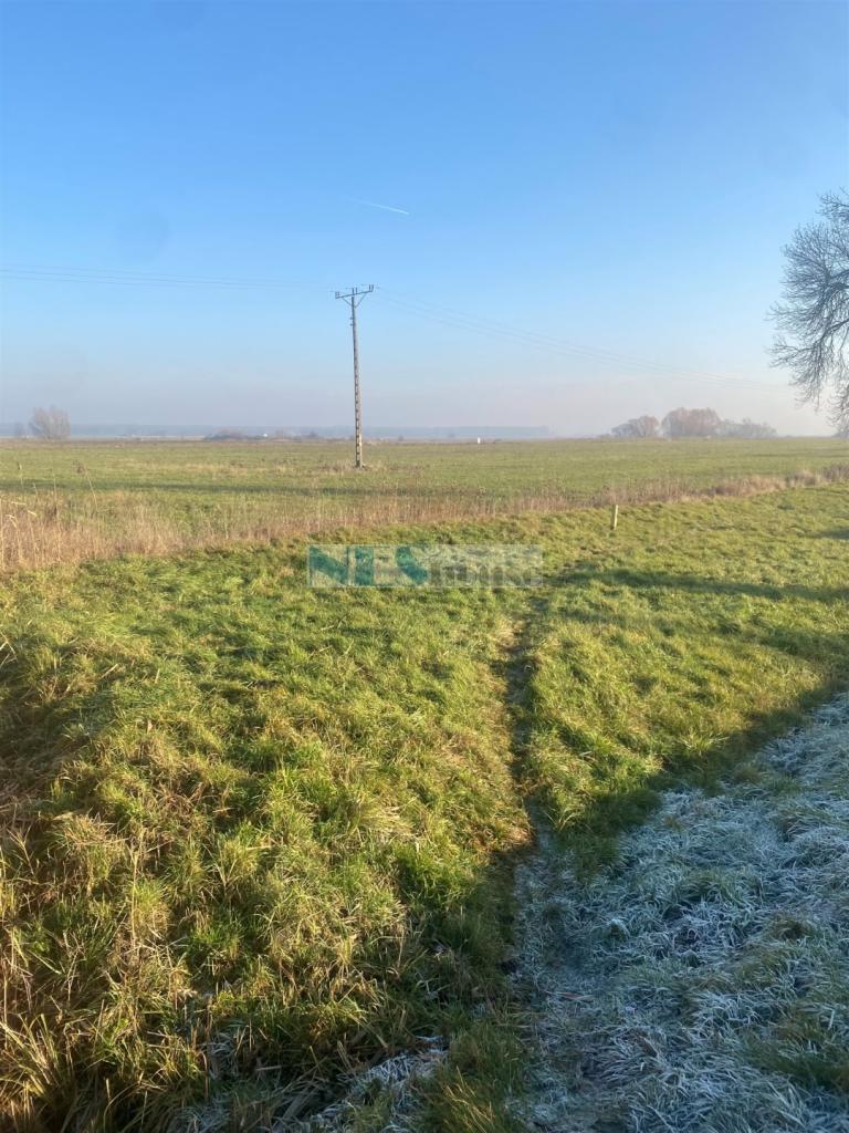Działka inwestycyjna 2010&nbsp;m², Groblice - zdjęcie 1