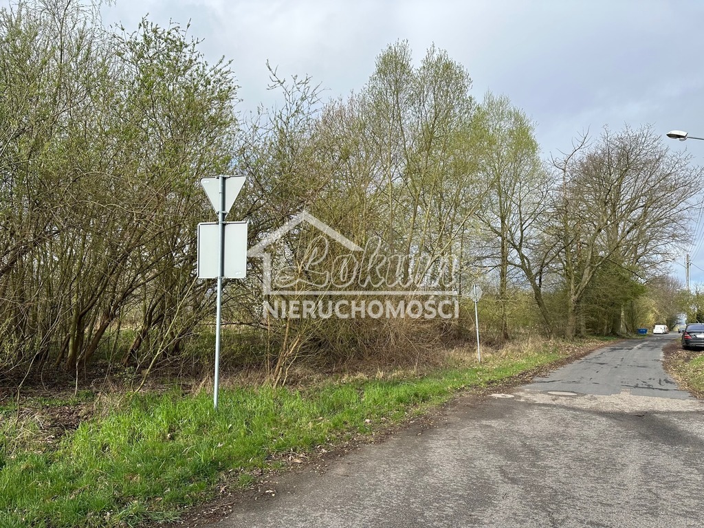 Działka rolna 7848&nbsp;m², Szczecin - zdjęcie 3