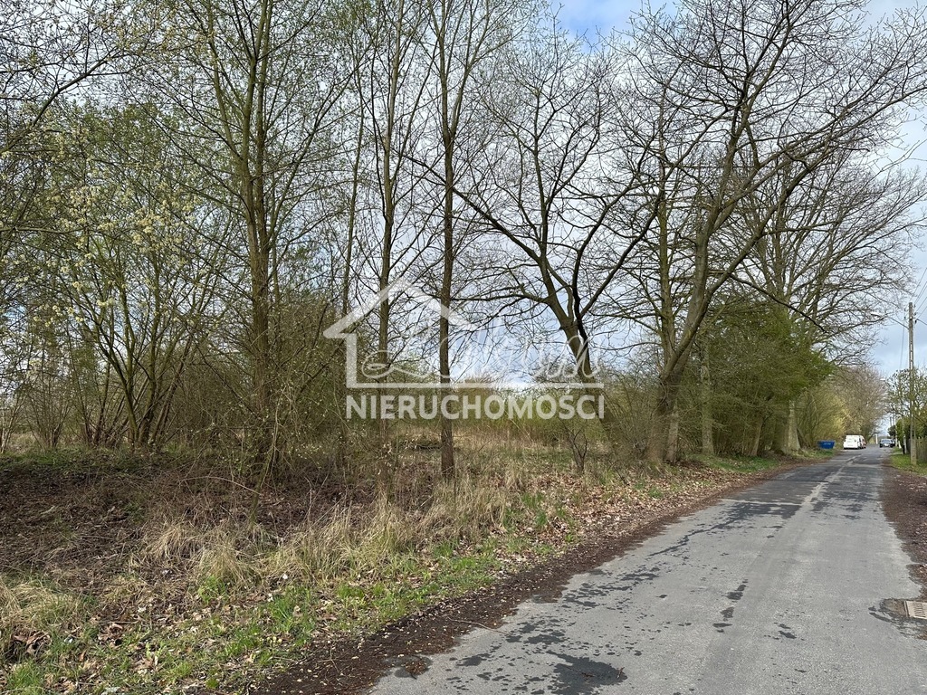 Działka rolna 7848&nbsp;m², Szczecin - zdjęcie 2