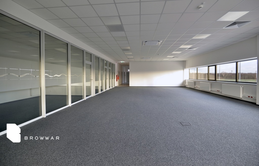 Magazyn do wynajęcia, 1350&nbsp;m², Żerniki - zdjęcie 10