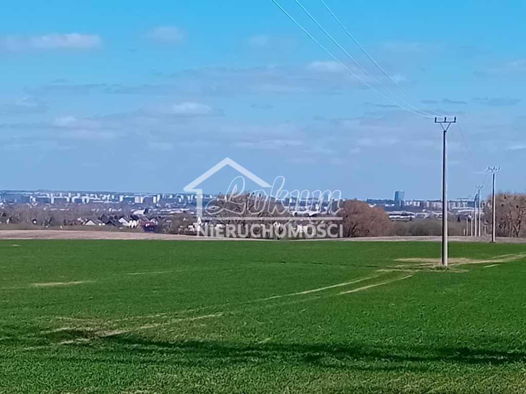 Działka rolna 5000&nbsp;m², Karwowo - zdjęcie 3