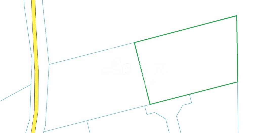 Działka rolna 5000&nbsp;m², Karwowo - zdjęcie 4