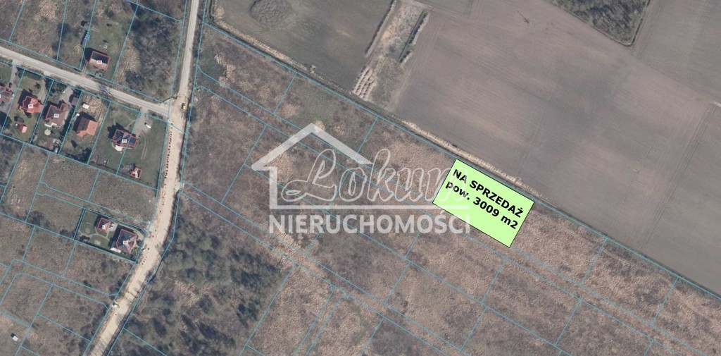 Działka rolna 3009&nbsp;m², Żółwia Błoć - zdjęcie 3