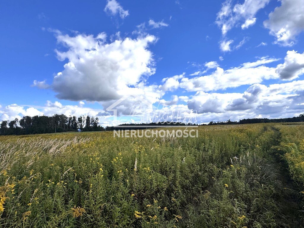Działka rolna 3009&nbsp;m², Żółwia Błoć - zdjęcie 1