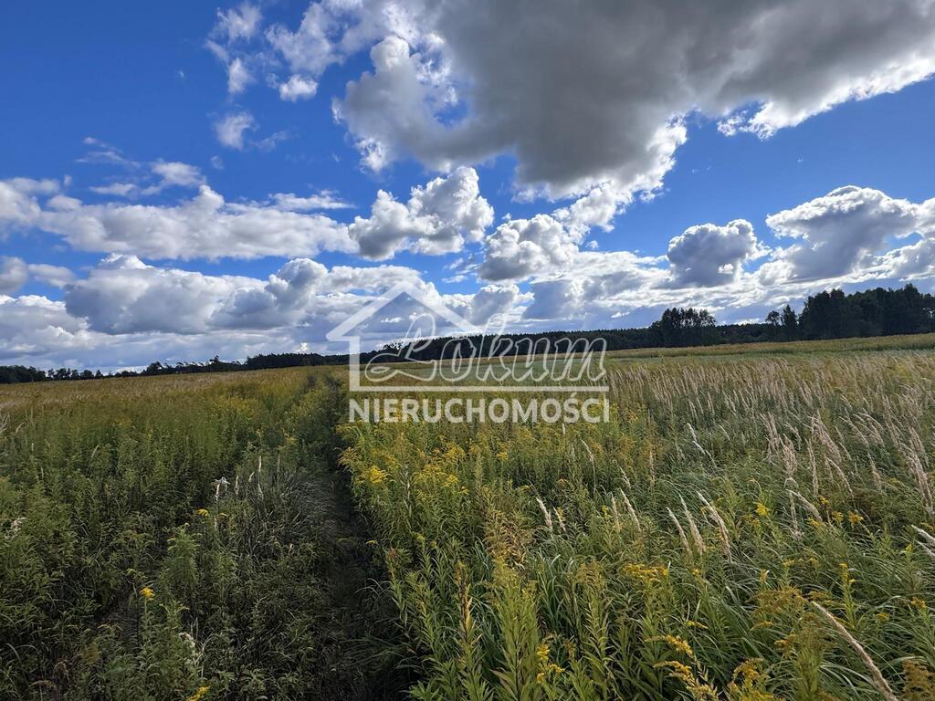 Działka rolna 3012&nbsp;m², Żółwia Błoć - zdjęcie 7