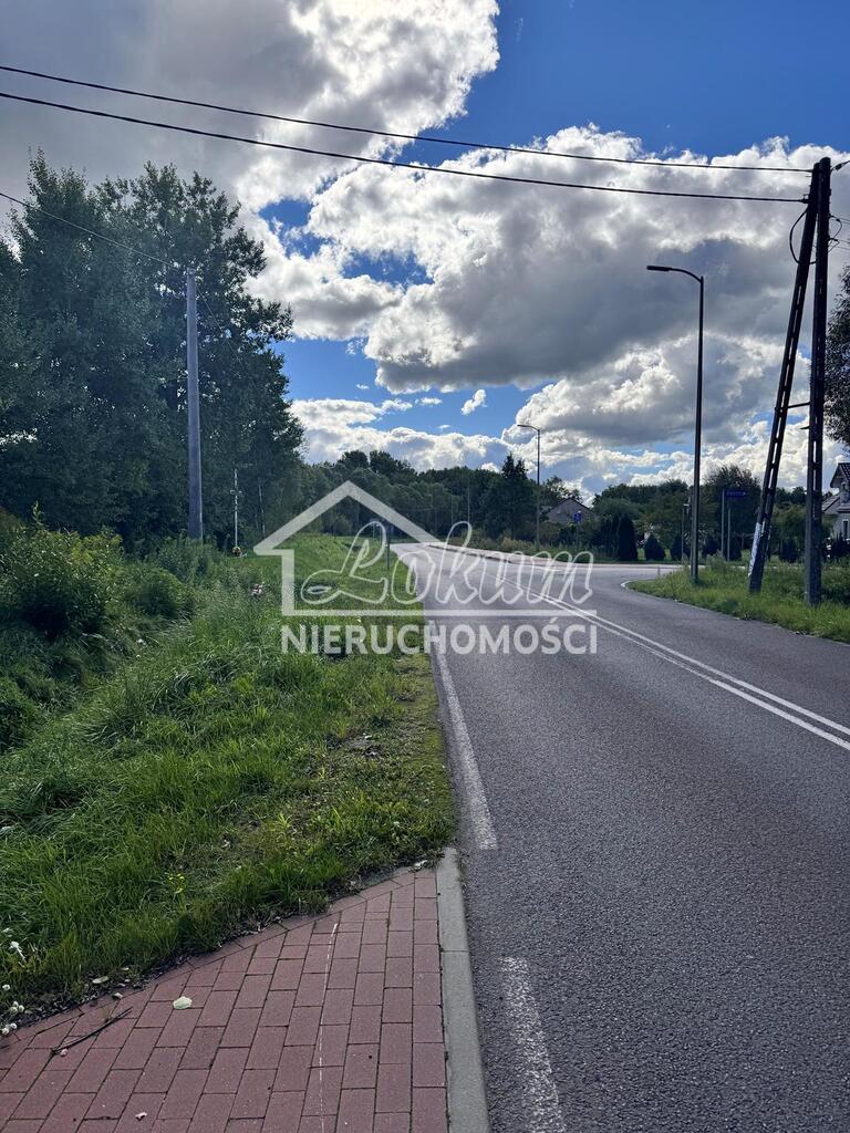 Działka rolna 3012&nbsp;m², Żółwia Błoć - zdjęcie 9