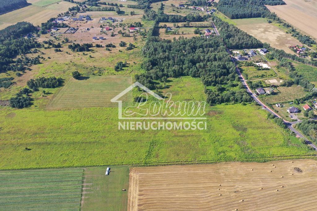 Działka rolna 3012&nbsp;m², Żółwia Błoć - zdjęcie 4
