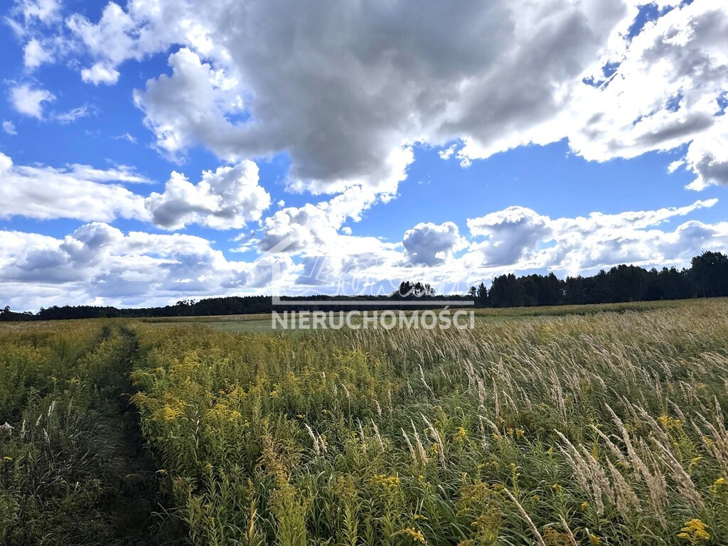 Działka rolna 3012&nbsp;m², Żółwia Błoć - zdjęcie 1