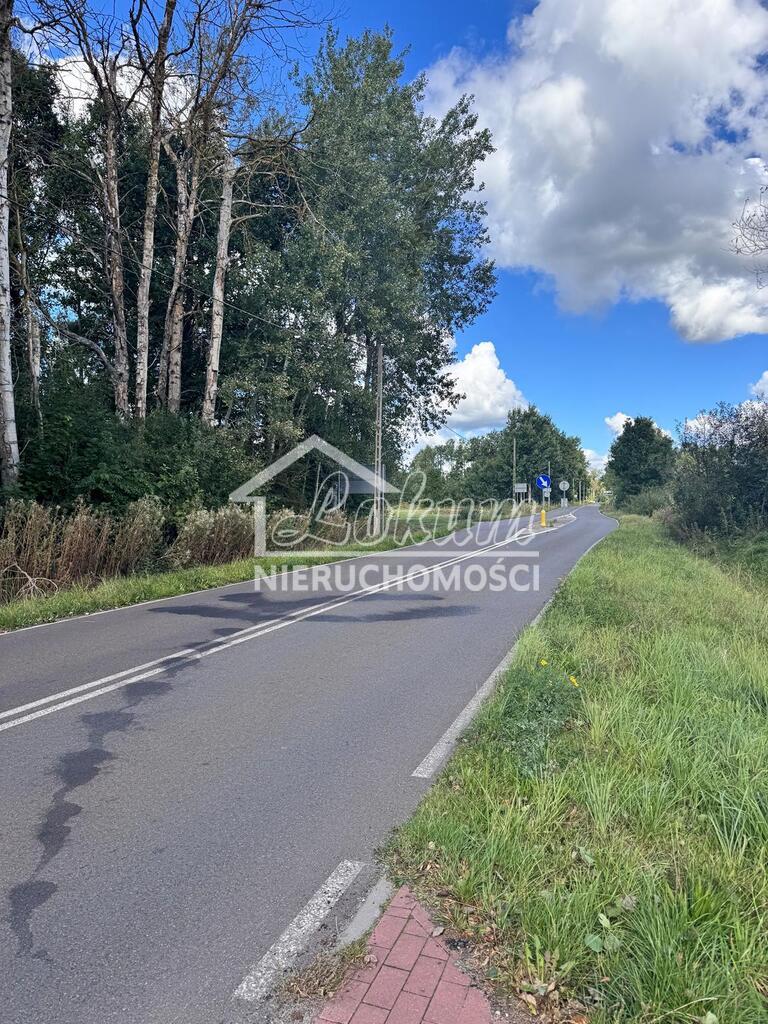 Działka rolna 3012&nbsp;m², Żółwia Błoć - zdjęcie 8