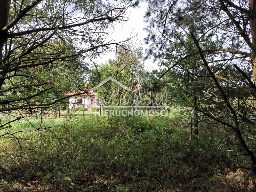 Działka budowlana 4258&nbsp;m², Szczecin - zdjęcie 9